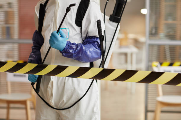 Professional Infectious Disease Decontamination technician working in Bloomington, TX